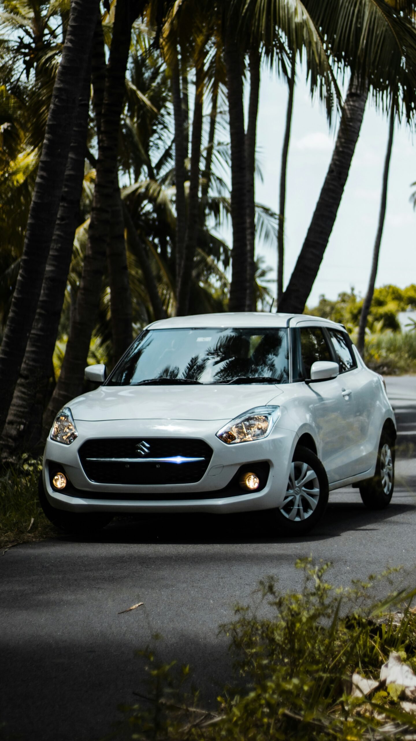 Coche compacto Alquileres Vikar